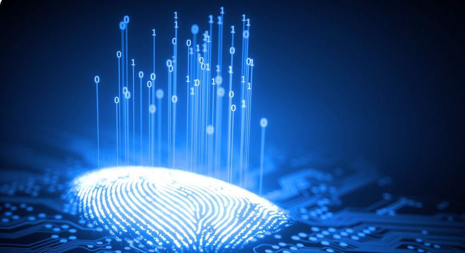 金沙(8087-js认证)娱场城-Officialwebsite